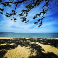 記事サムネイル画像0