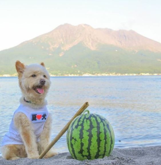 記事画像