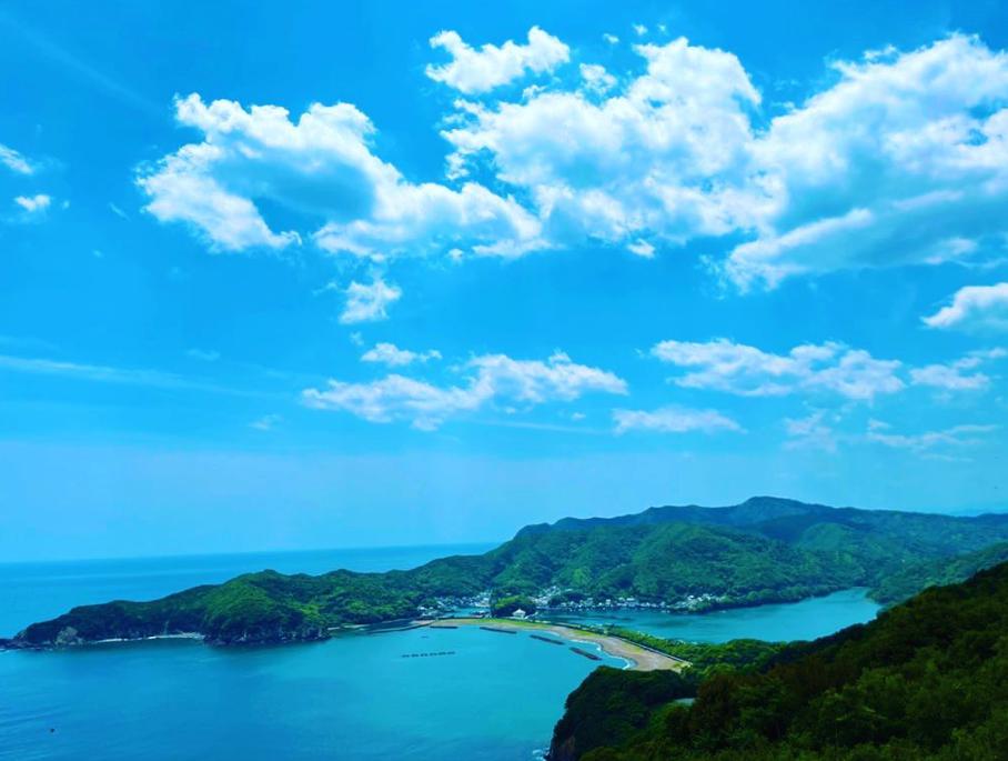 記事画像